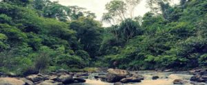 Trek en Gunung Leuser,Sumatra,Indonesia con Indika Viajes