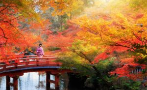 Puente de madera en Kyoto, Otoño- Viaje a Japon. Indika Viajes