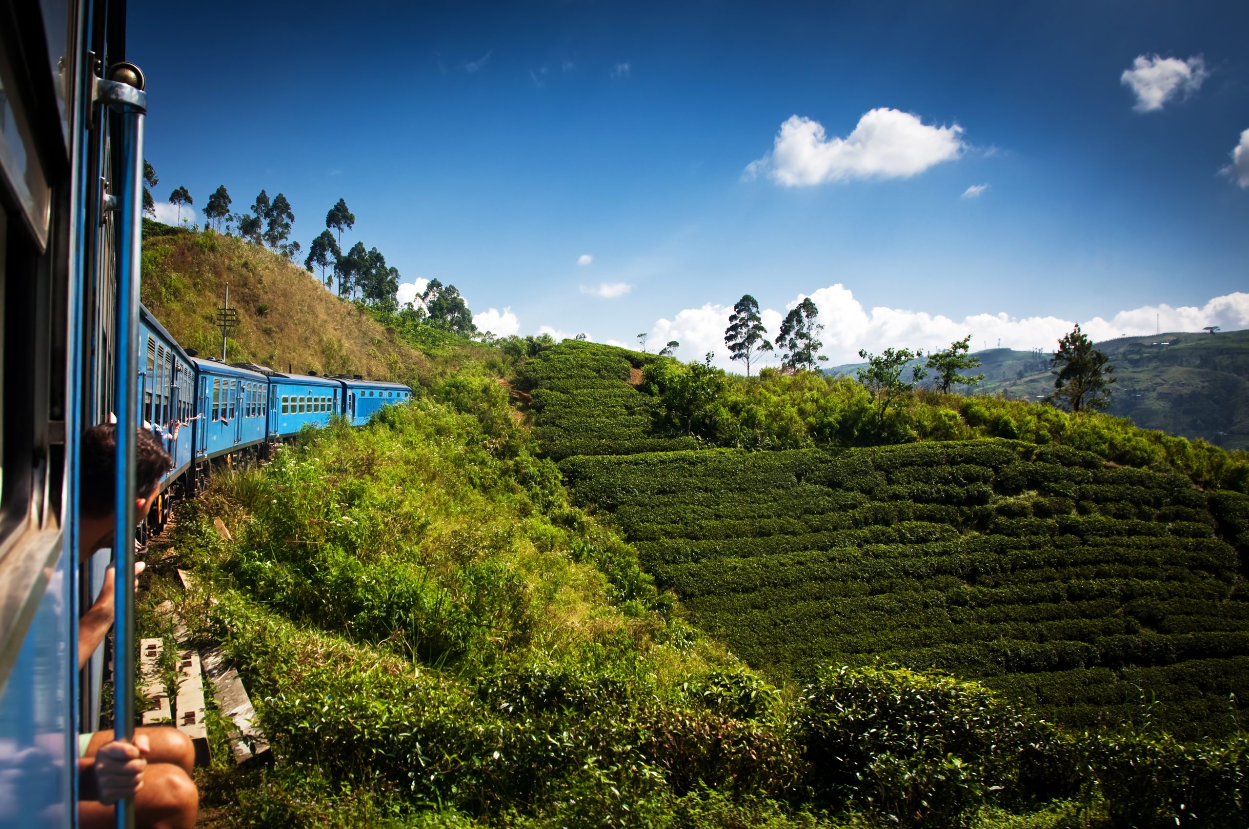 Arrozales vistos desde el tren entre Nanu Oya y Ella, Sri Lanka