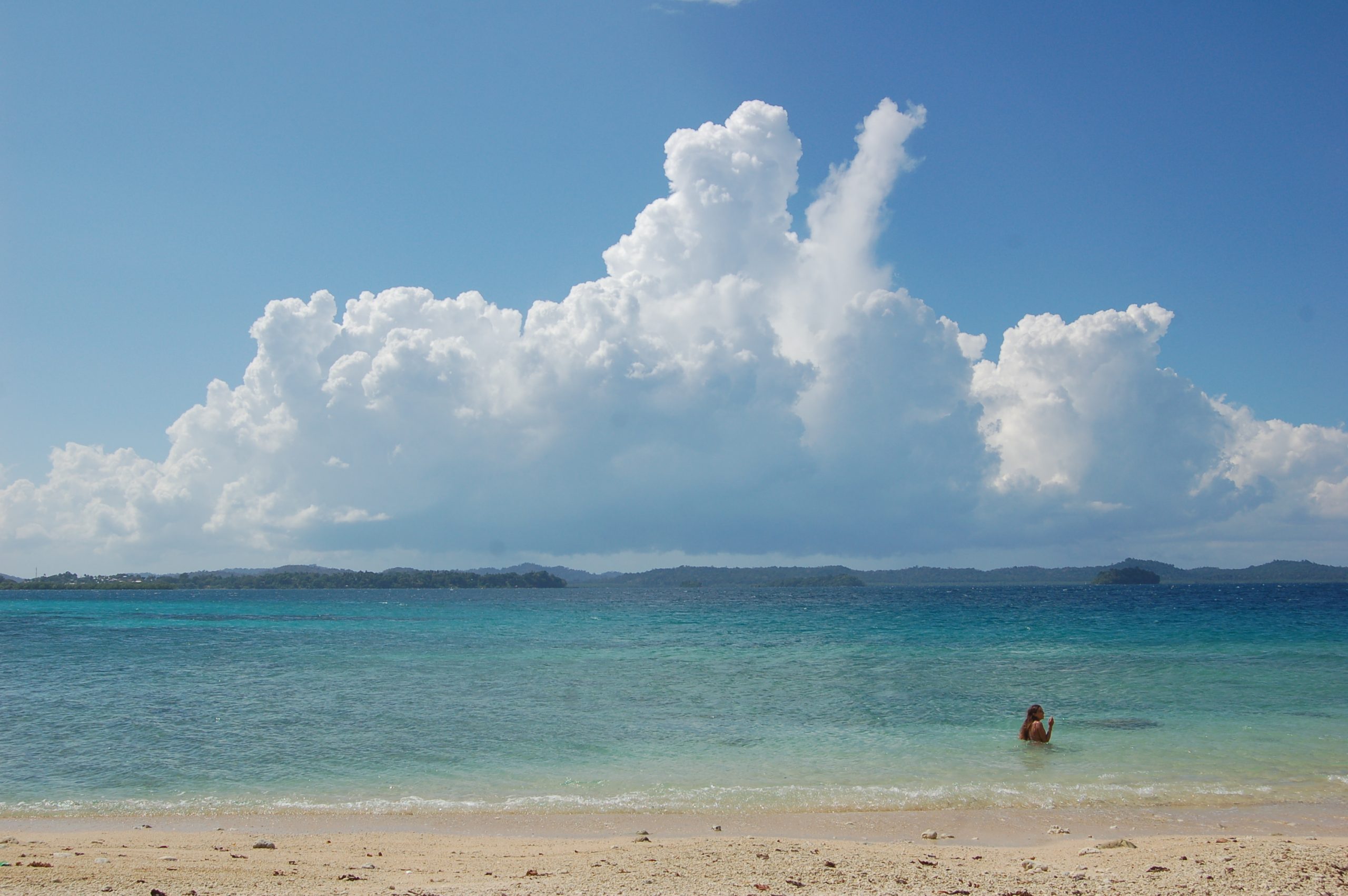 Playa virgen deshabitada de Avis Island, Islas Andamán, India, con palmeras tropicales y aguas turquesas cristalinas