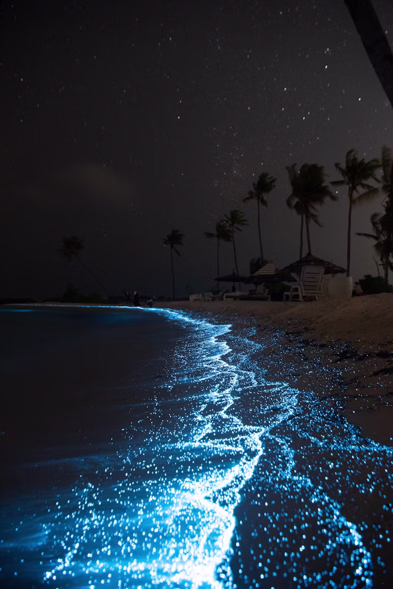 Mar bioluminiscente brillando de azul por la noche en Koh Totang, Camboya