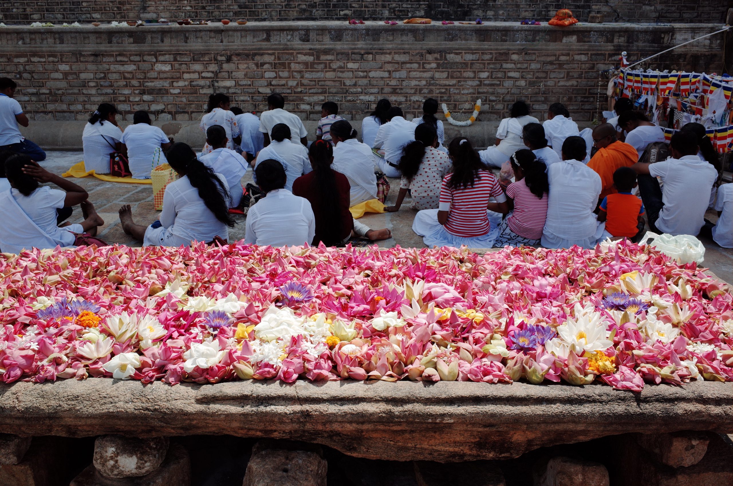 Mesa de ofrendas de flores de loto ante un dagoba en Anuradhapura, ciudad sagrada budista de Sri Lanka