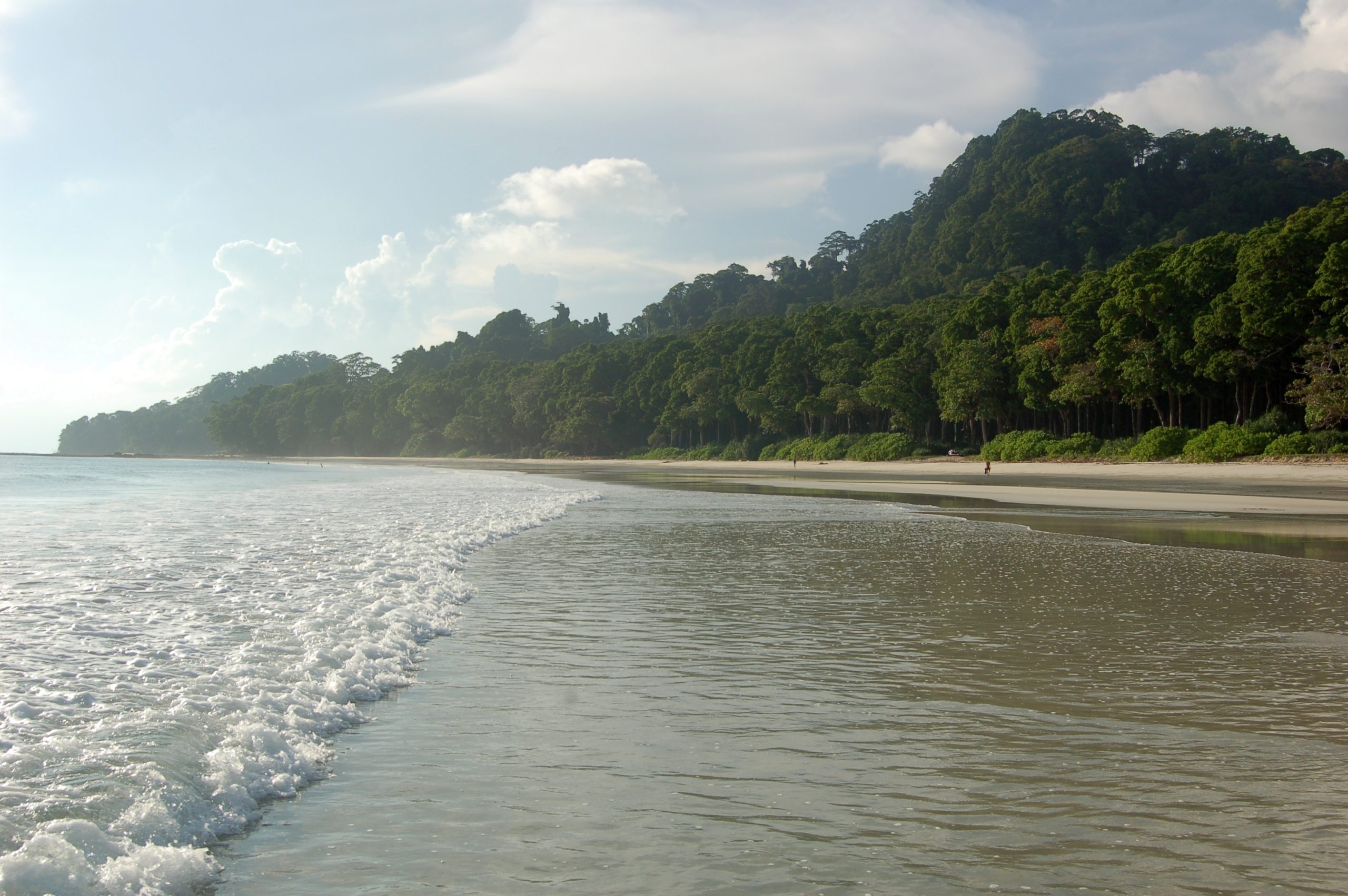 Selva tropical desbordándose sobre la arena blanca de Radha Nagar, Beach 7, Havelock, Islas Andamán, India