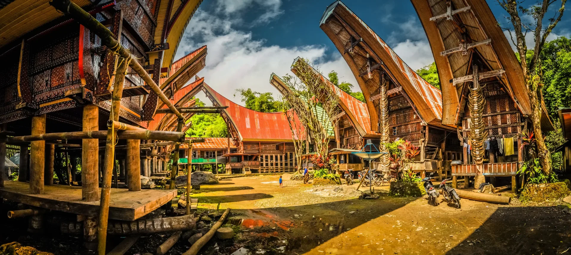 Casas tradicionales tongkonan con tejado curvo en Tana Toraja, Sulawesi, Indonesia
